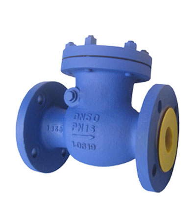 DIN Bolted Bonnet Swing Check Valve