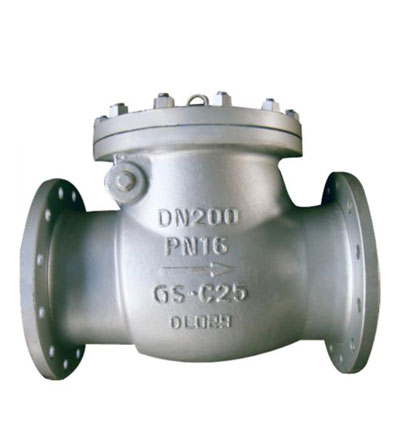 DIN Swing check valve